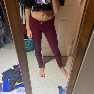 Maroon pants